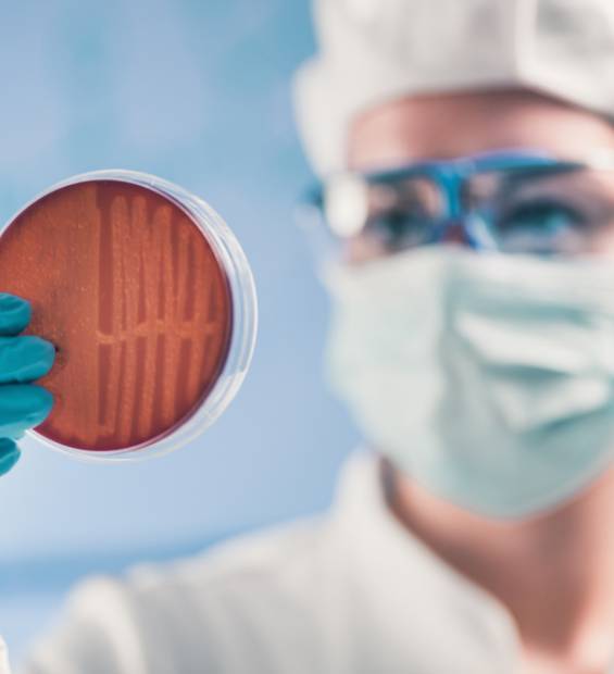 lab-testing